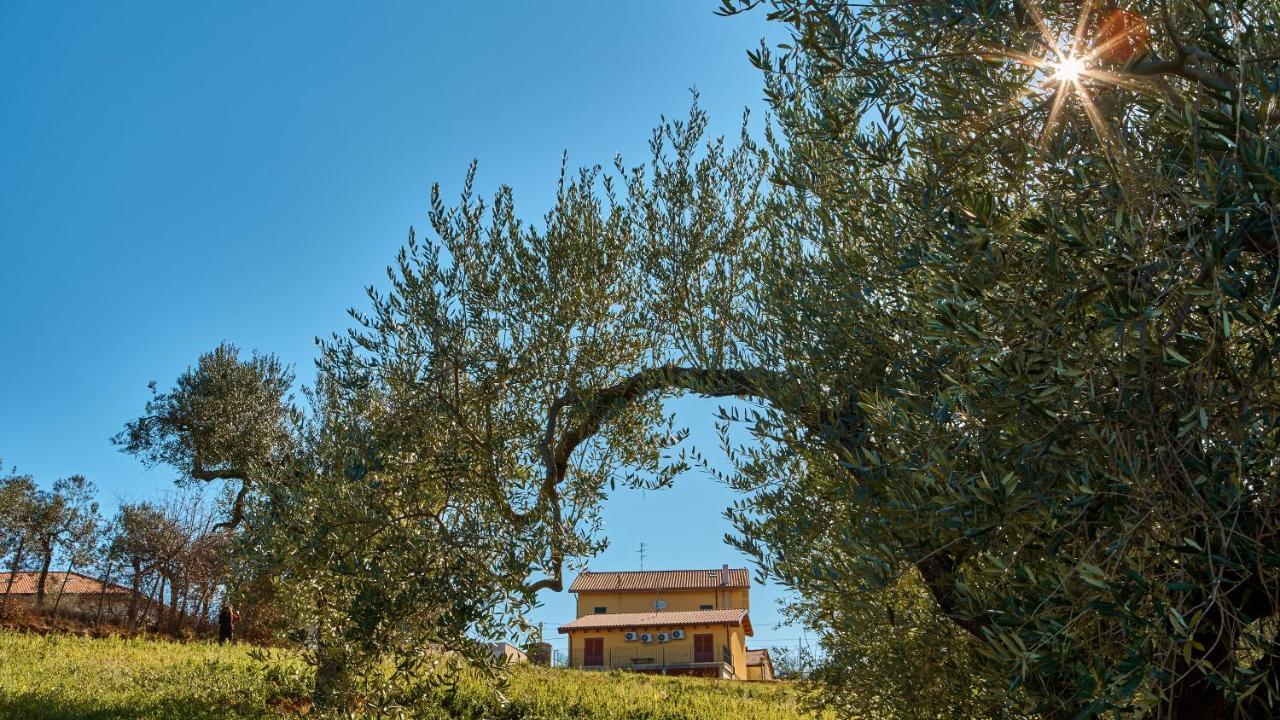 Tollo La Casa Del Vino - B&B מראה חיצוני תמונה