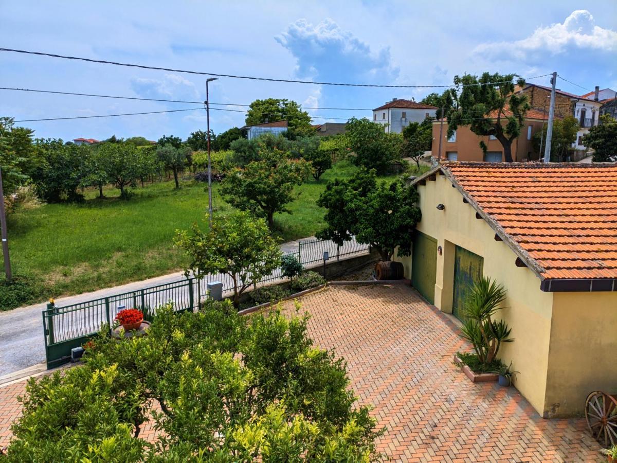 Tollo La Casa Del Vino - B&B מראה חיצוני תמונה
